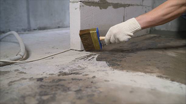 24/7 Emergency Crawl Space Encapsulation experts in Pegram, TN